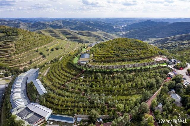 1659089791504345.jpeg 05.jpeg