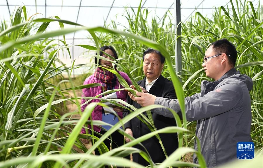 1659089902542421.jpg 03.jpg