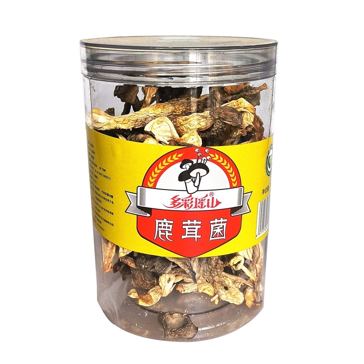 马山县 多彩瑶山鹿茸菌70克（罐装）